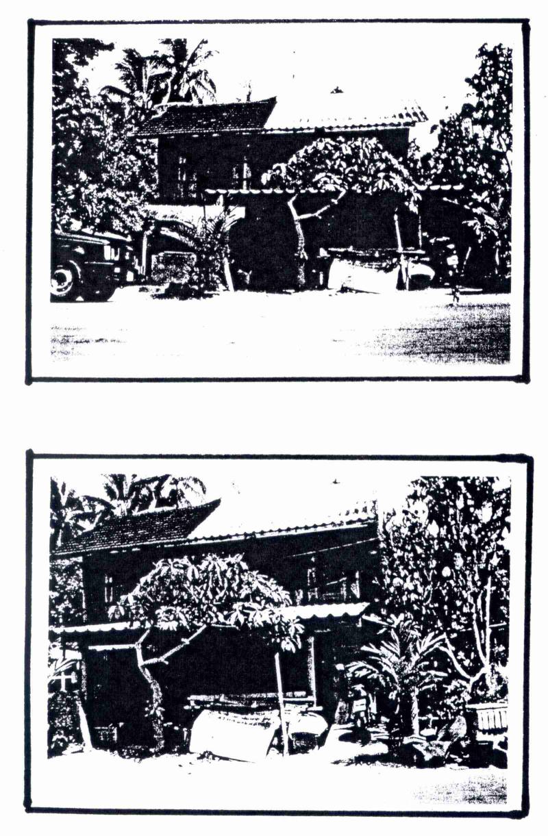 ที่ดินพร้อมสิ่งปลูกสร้างหลุดจำนอง ธ.ธนาคารกรุงไทย นราธิวาส ระแงะ เฉลิม