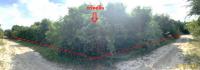 ที่ดินว่างเปล่าหลุดจำนอง ธ.ธนาคารกสิกรไทย นราธิวาส เมืองนราธิวาส ลำภู