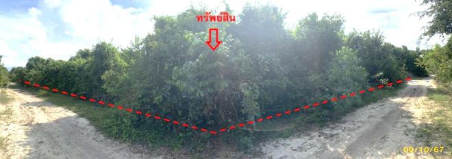 ที่ดินว่างเปล่าหลุดจำนอง ธ.ธนาคารกสิกรไทย นราธิวาส เมืองนราธิวาส ลำภู