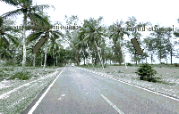 ที่ดินว่างเปล่าหลุดจำนอง ธ.ธนาคารกสิกรไทย นราธิวาส ตากใบ ไพรวัน